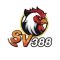 sv3882
